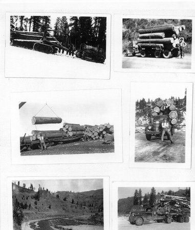 6 Logging images