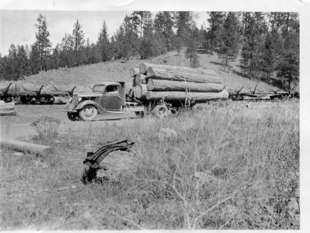 Logging truck - 3